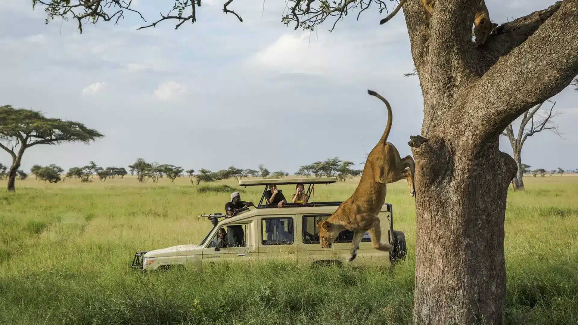 10 Day Tanzania Safari Experience