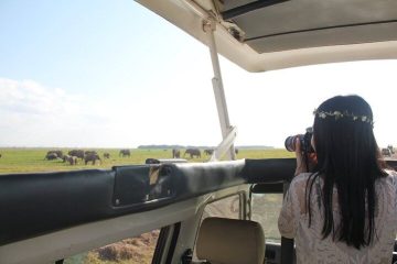 11 days Mount Kenya and masai mara