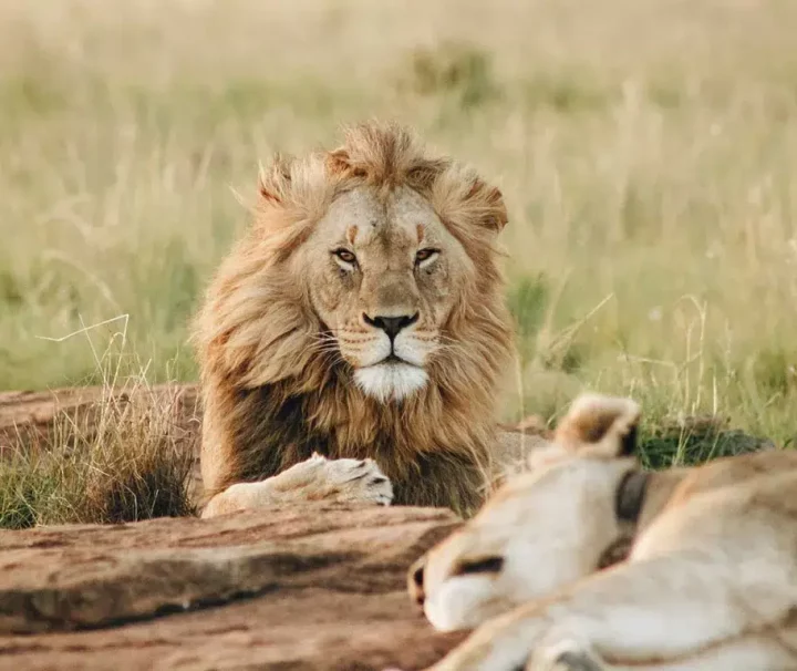 13 days Kilimanjaro and Safari