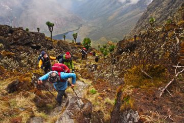 12 days Mount Rwenzori peaks