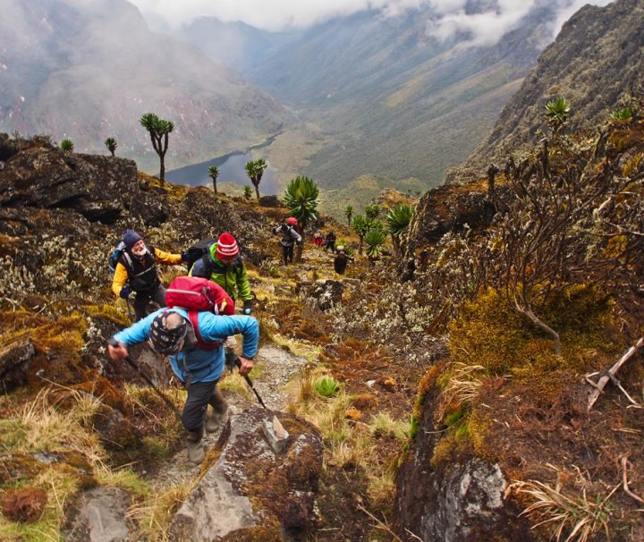 12 days Mount Rwenzori peaks