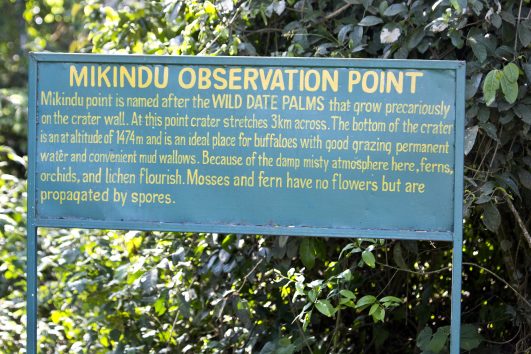 Mikindu Observation Point
