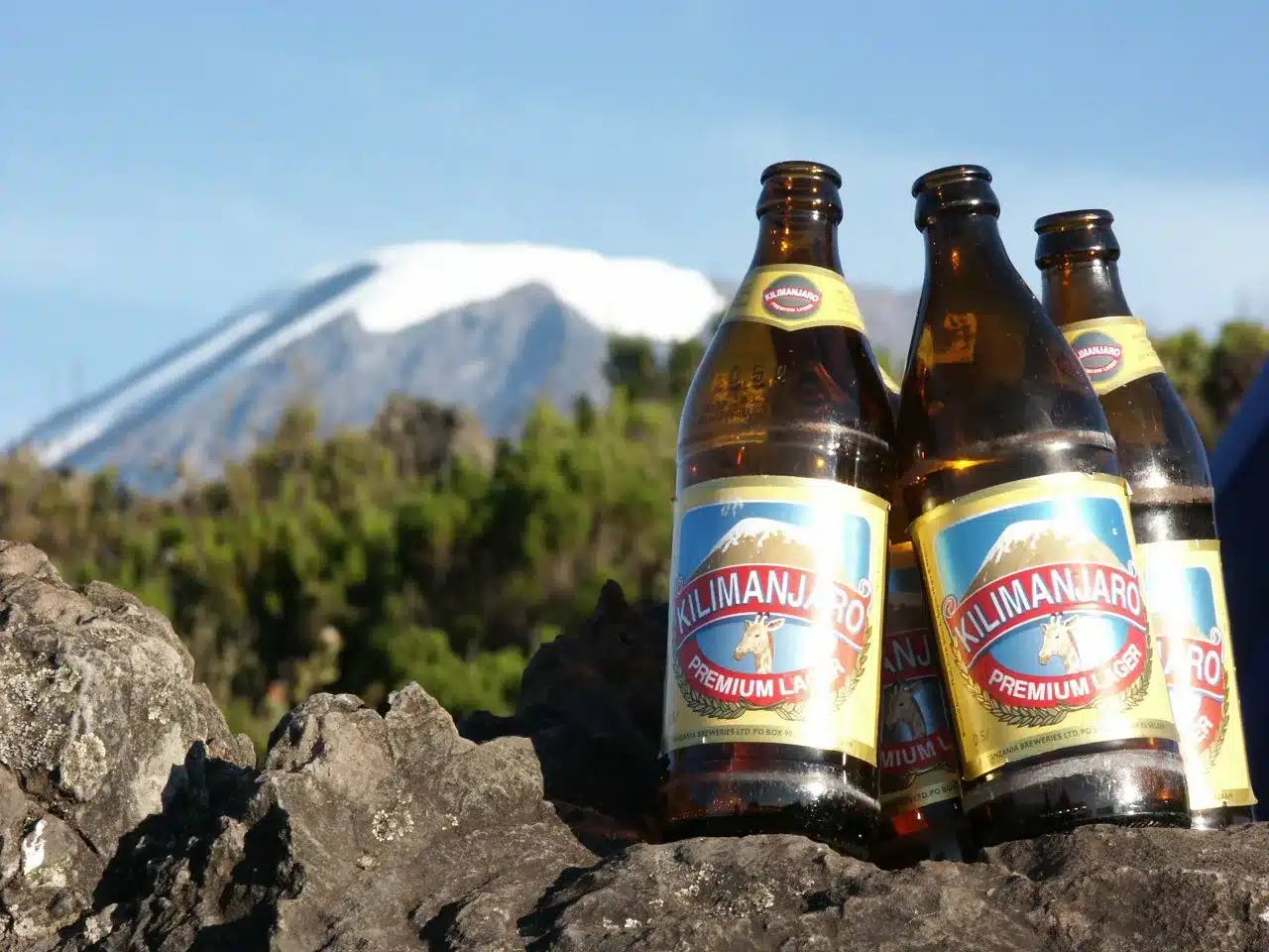 Alcohol beer not whiskey on Kilimanjaro routes