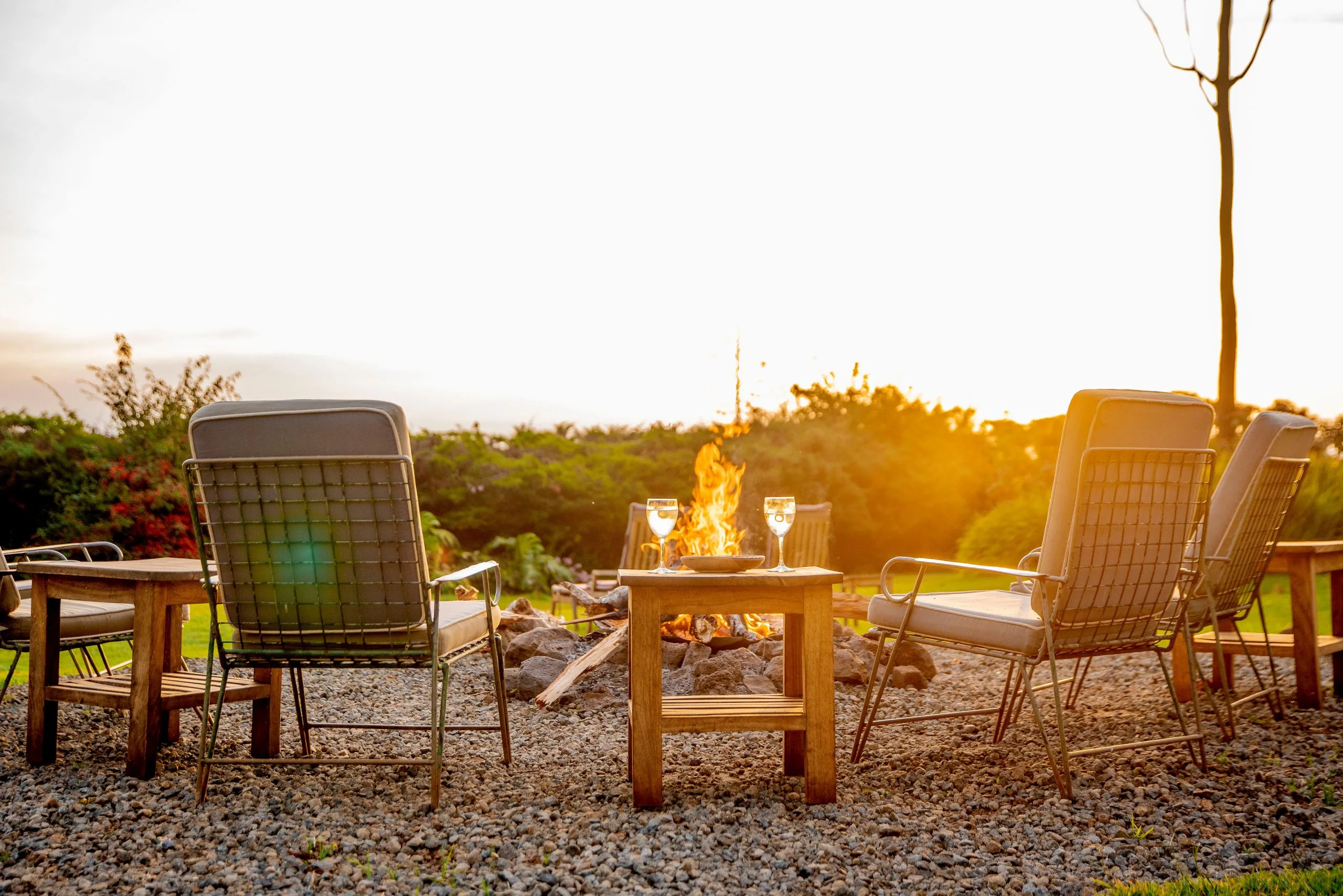 relaxing Simba Farm Lodge