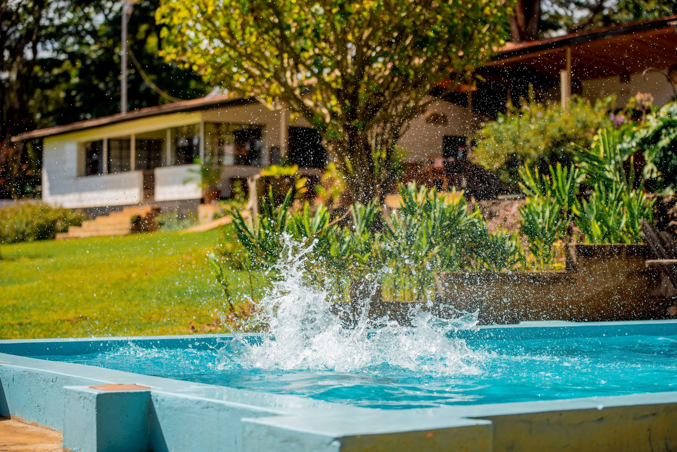 Simba farm swimming pool