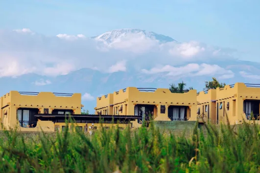 Kilimanjaro from maridadi