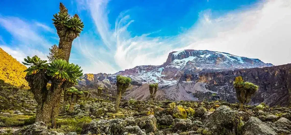 7 Day Mount Kilimanjaro treks