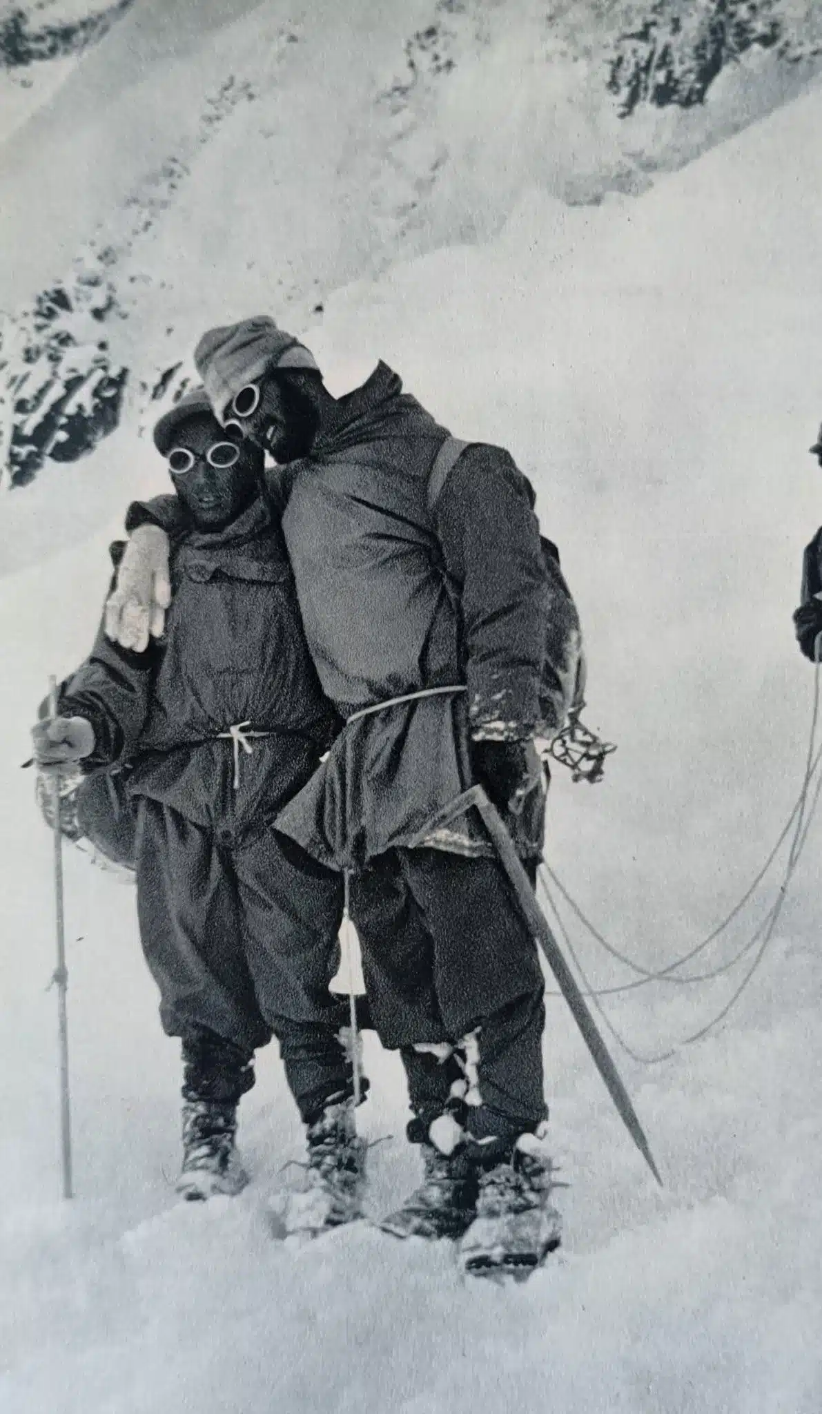 Herzog and Lachenal 
