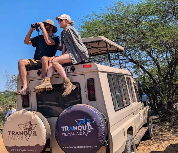 Tanzania safari