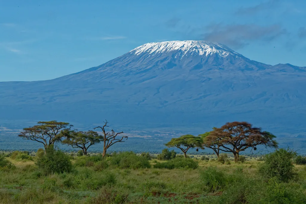 Normal Kilimanjaro look from below