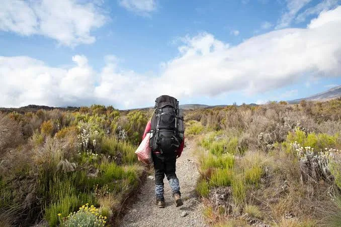 Kilimanjaro on foot