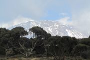 7 days Machame Route