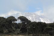 7 days Machame Route