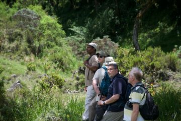 Arusha National Park day trip