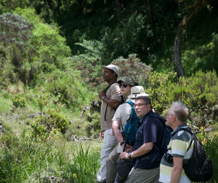 Arusha National Park day trip
