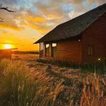 Serval Wildlife Sanctuary Accommodation Villa