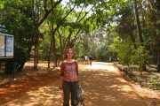Nairobi Arboretum