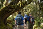 7 days Machame Route