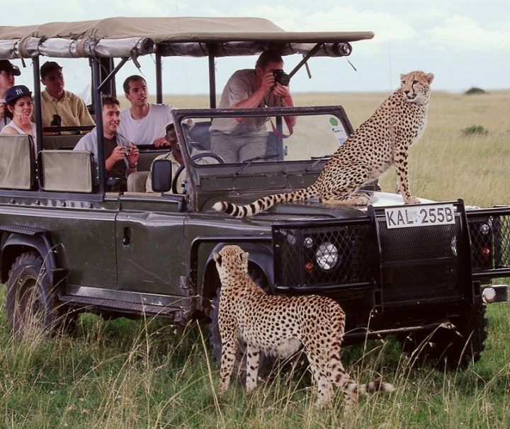 3 days Masai Mara Safari