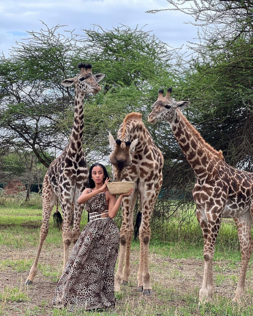 Visit Serval Wildlife Sanctuary In Tanzania