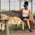 Serval Wildlife Sanctuary lion