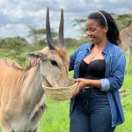 Serval Wildlife Sanctuary Animals