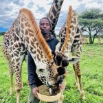 Serval Wildlife Sanctuary Animals