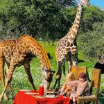 Serval Wildlife Sanctuary Animals