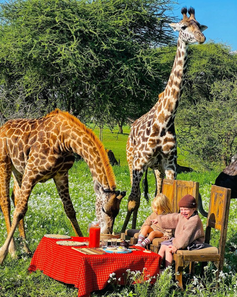 Visit Serval Wildlife Sanctuary In Tanzania