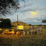 Serval Wildlife Sanctuary Accommodation Villa