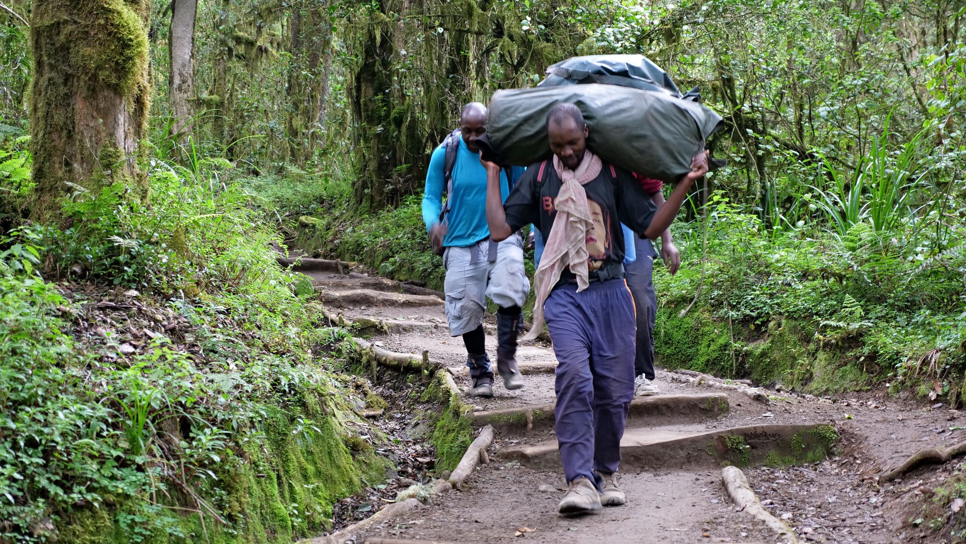Descending Mount Kilimanjaro Mweka Route