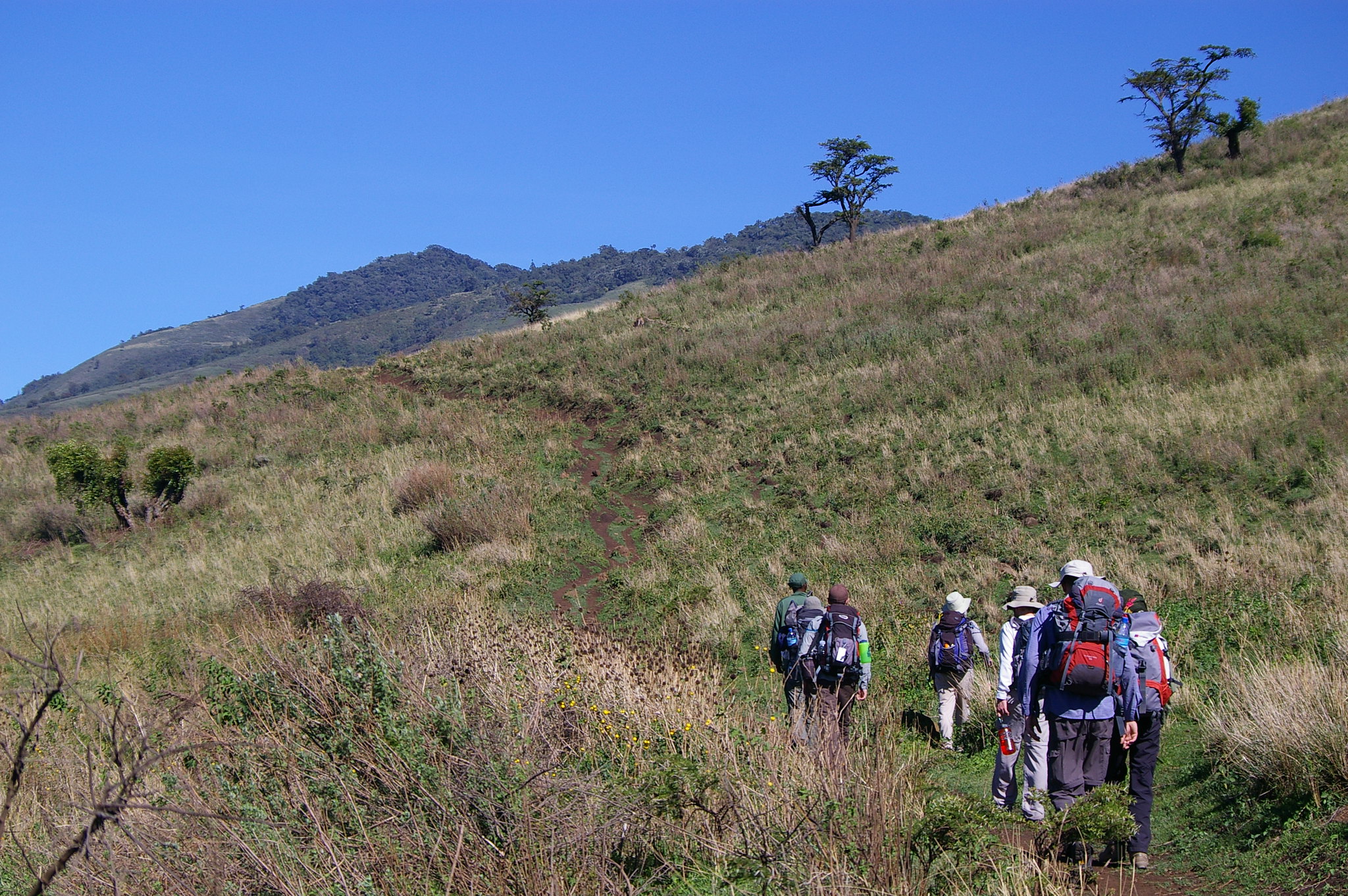 Mount Lemagrut trekking
