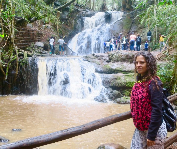 Karura forest hikes