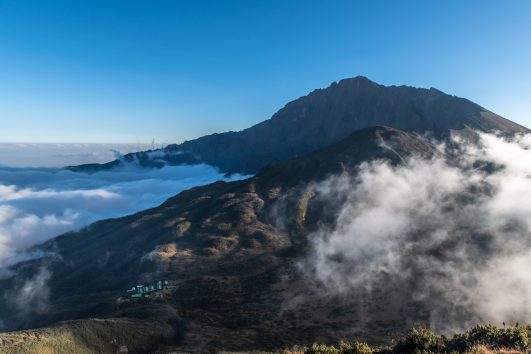 Rhino View point