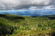 Maundi crater mount kilimanjaro