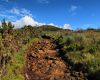 4476135216_d3e4126be3_c rocky path on Marangu