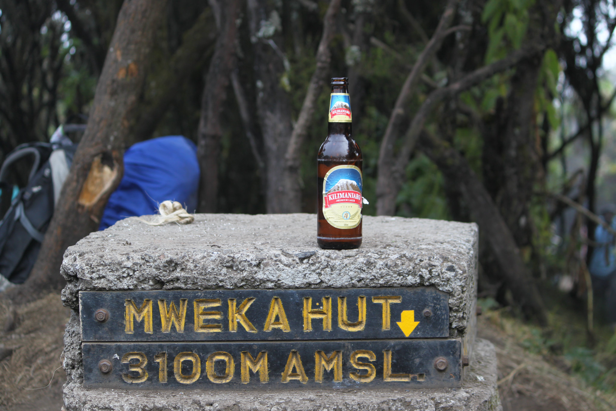 Beer at Mweka Hut