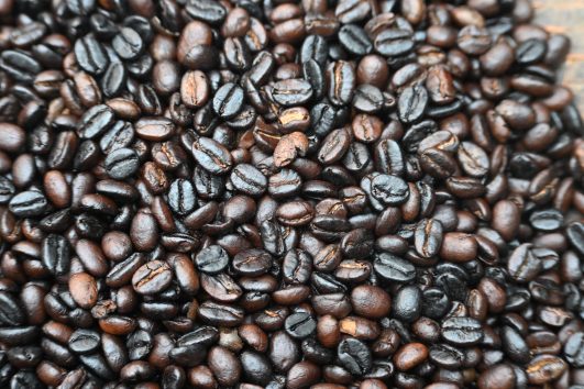 arabica coffee beans