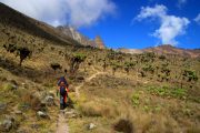 Hiking Mount Kenya Day Trip