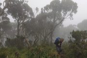 Hiking the Elephant Hill, Aberdares