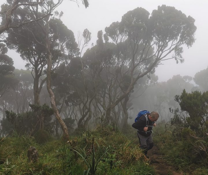 Hiking the Elephant Hill, Aberdares