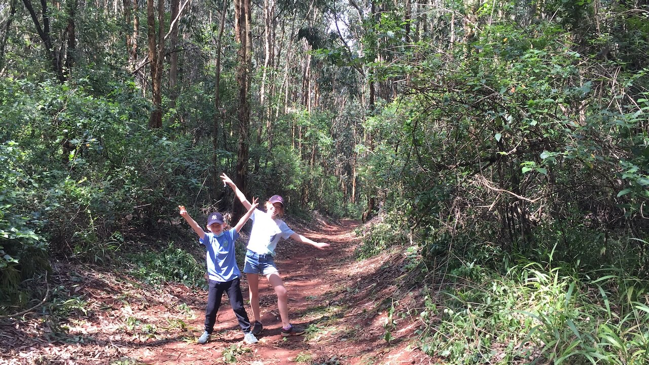 Karura Forest