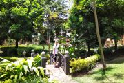 Nairobi Arboretum