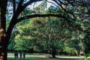 Nairobi Arboretum