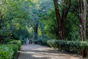 Nairobi Arboretum