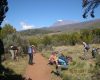 5389708489_ea115beb42_c Hiking slowly and resting along the Marangu Route