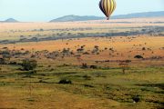 1 Day Serengeti safari