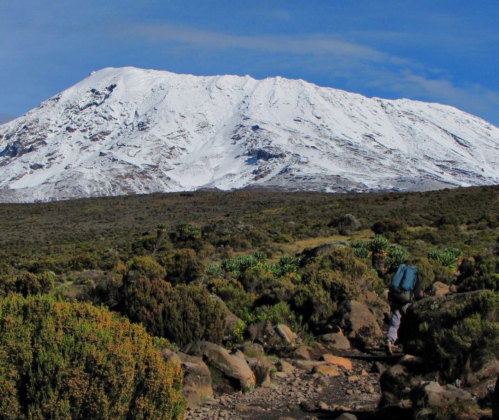 6 days Marangu Route, Mount Kilimanjaro