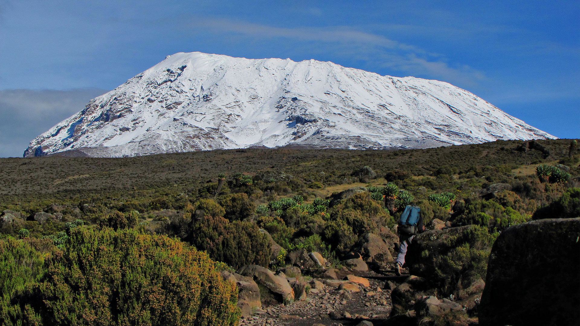 6 days Marangu Route, Mount Kilimanjaro