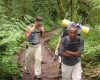625756783_18a290007d_o Porters and guides on Machame Route